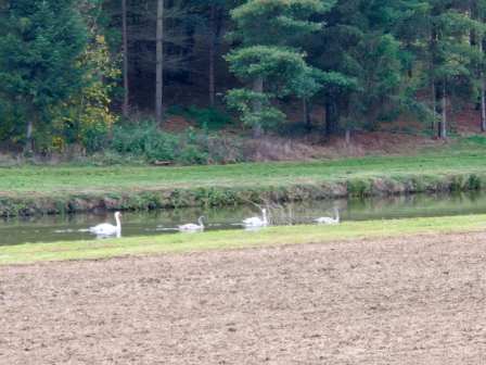 Projekt “Mentalno zdravlje učenika” – Mindfulness šetnja